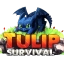 Tulip Survival - Minecraft Server
