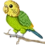 Budgie Network minecraft Server