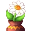 The Seed MC - Minecraft Server